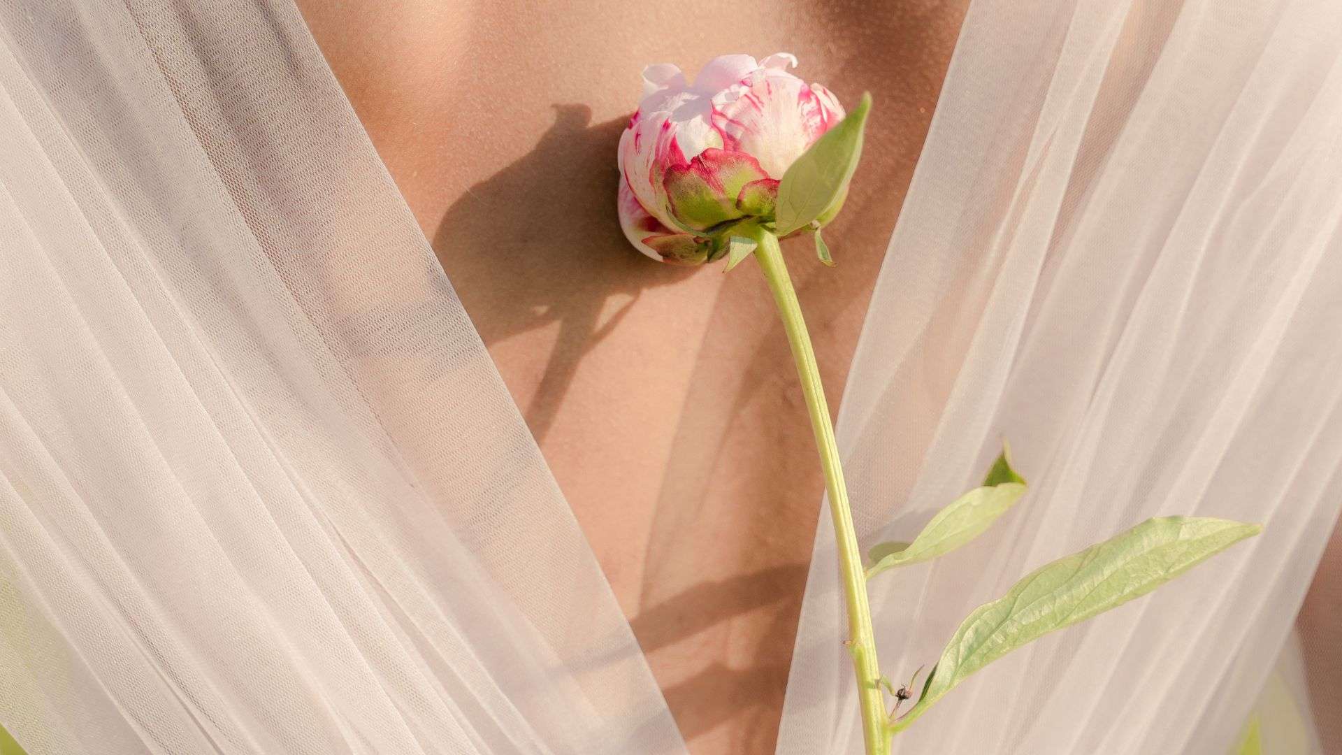 La beauté éclat